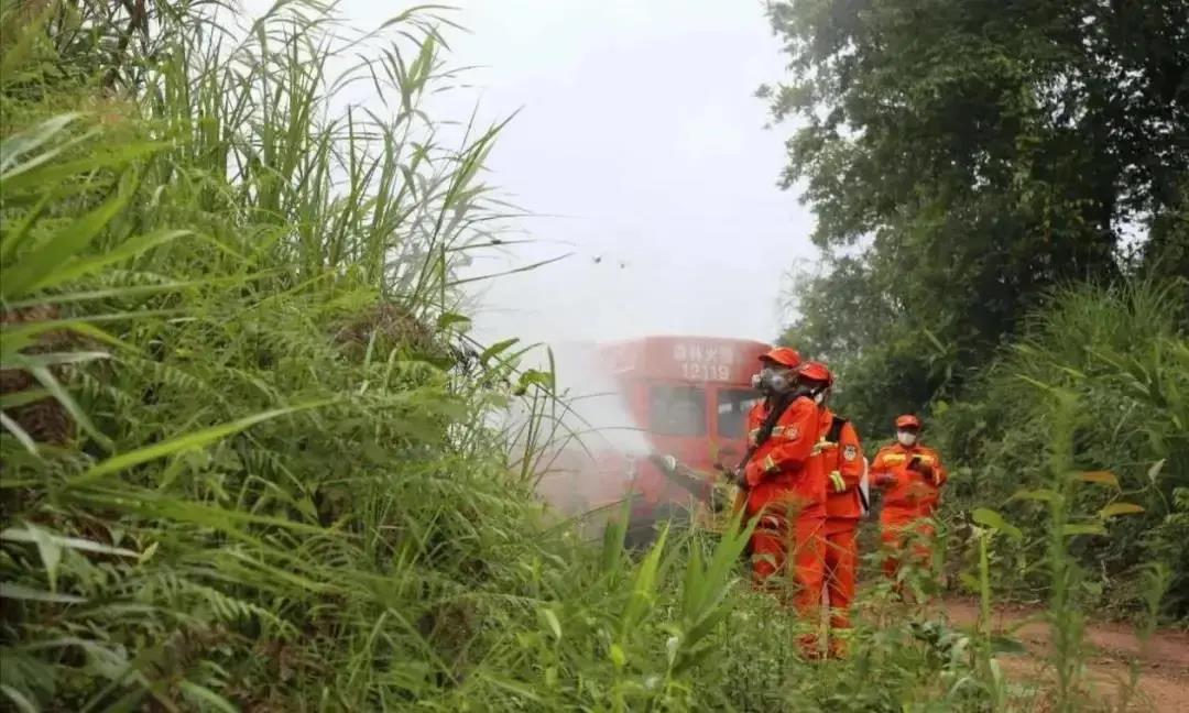 防汛又防虫，这段时间可把他们忙坏了！