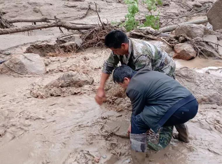 防汛又防虫，这段时间可把他们忙坏了！