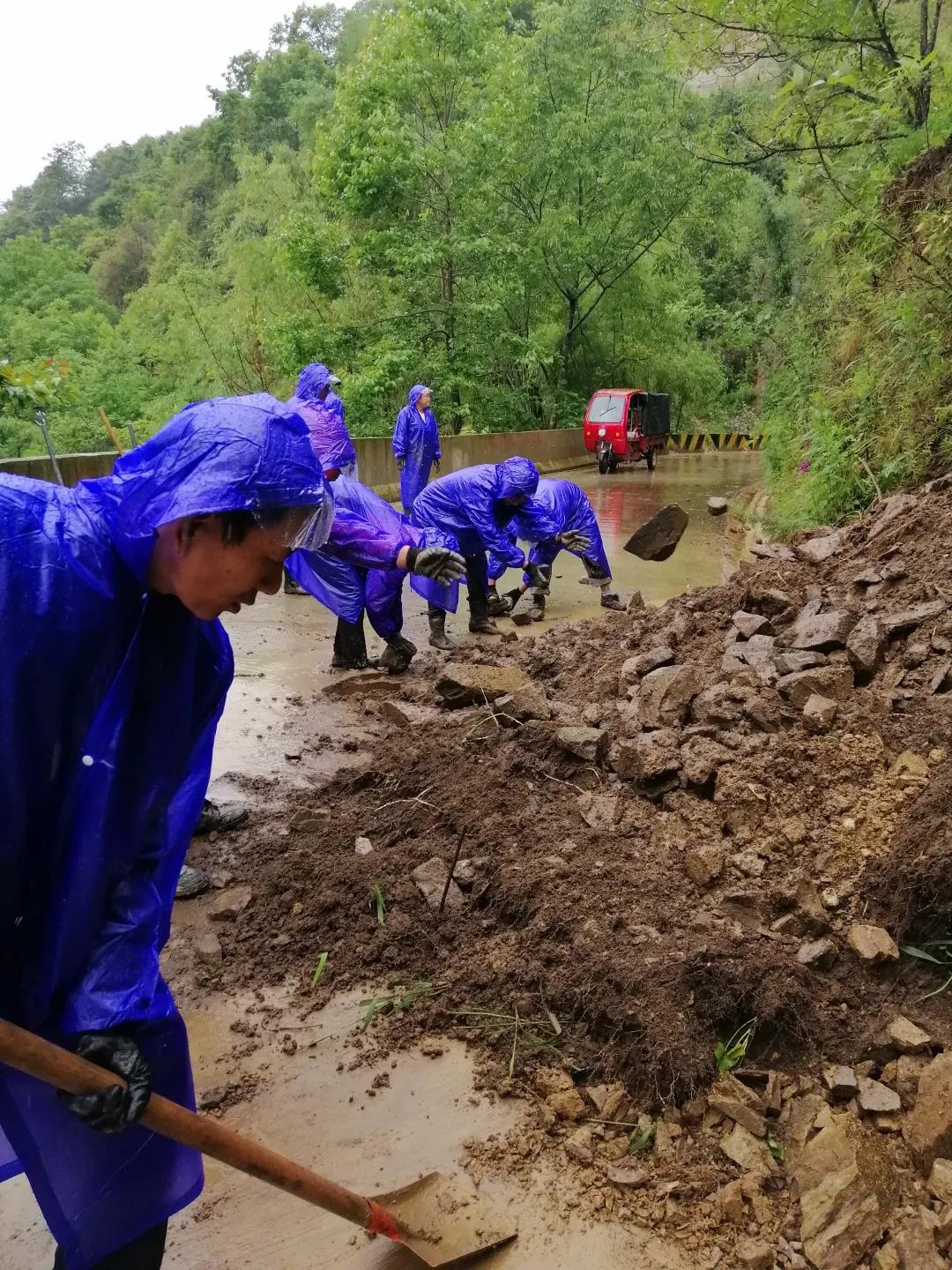 防汛又防虫，这段时间可把他们忙坏了！