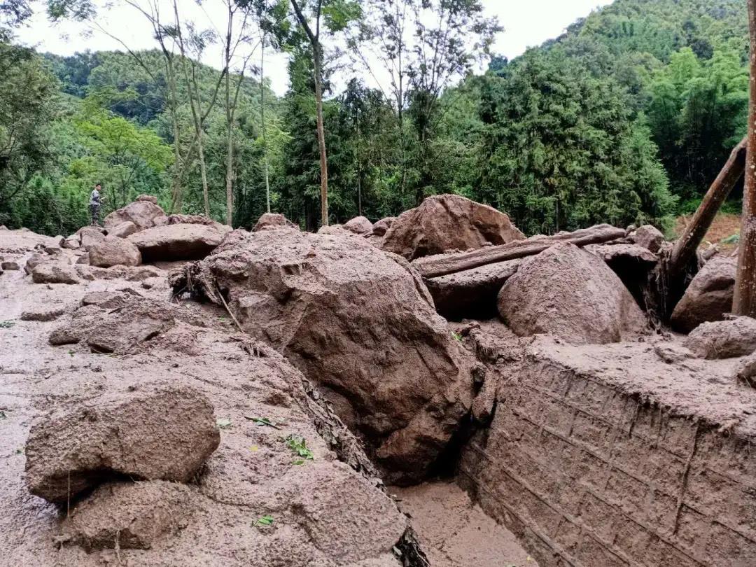 防汛又防虫，这段时间可把他们忙坏了！