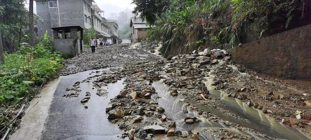 防汛又防虫，这段时间可把他们忙坏了！
