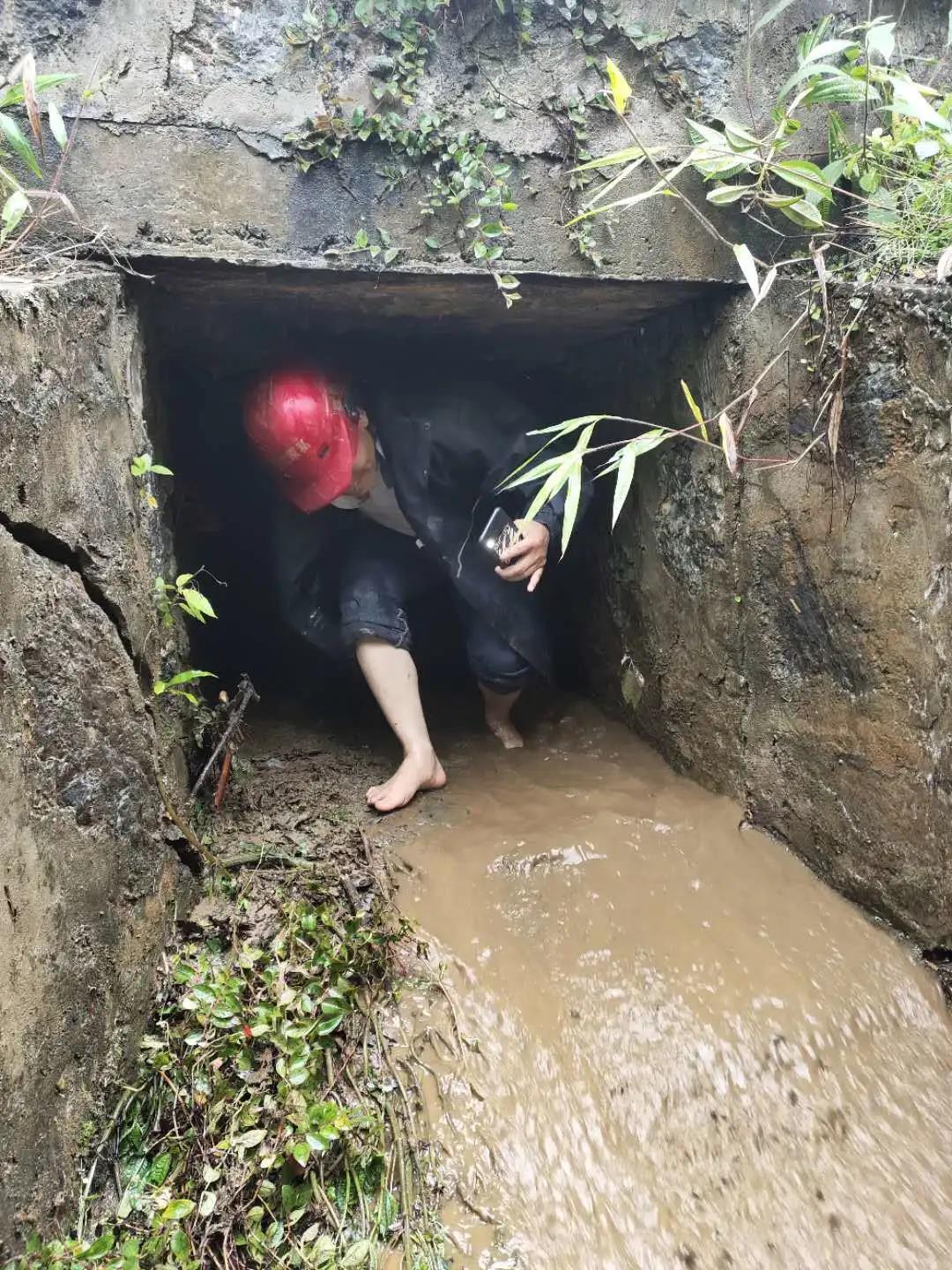 防汛又防虫，这段时间可把他们忙坏了！