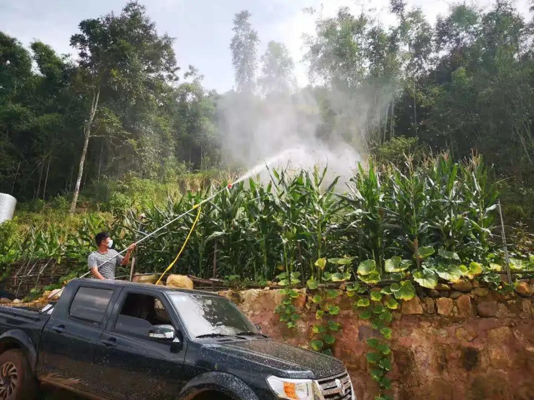 防汛又防虫，这段时间可把他们忙坏了！