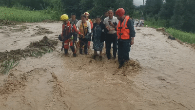 防汛又防虫，这段时间可把他们忙坏了！
