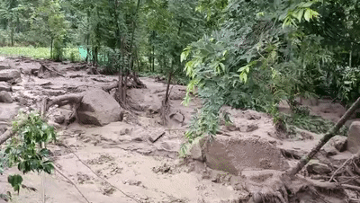 防汛又防虫，这段时间可把他们忙坏了！