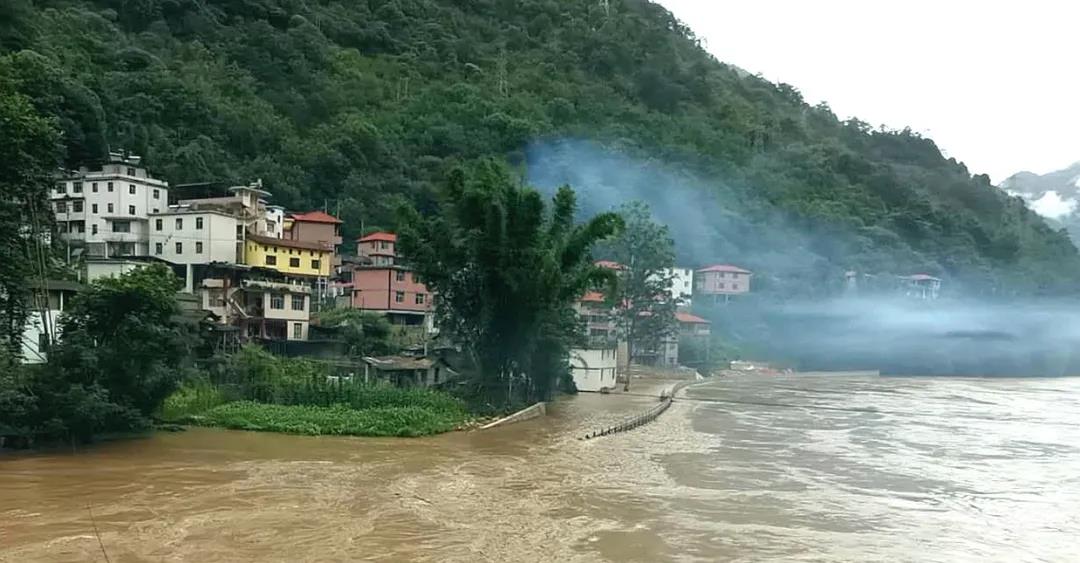 防汛又防虫，这段时间可把他们忙坏了！