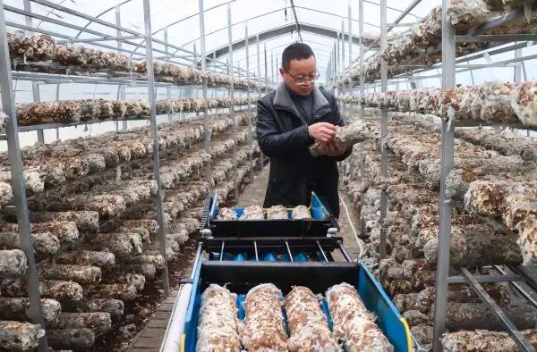 不负韶华奋进跨越5年前那个寒冬孕育的希望已在鲁甸绽放