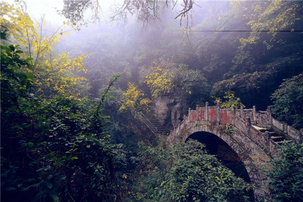 雲南武定獅子山景區將在疫情結束後向全國醫務工作者和招行員工免費