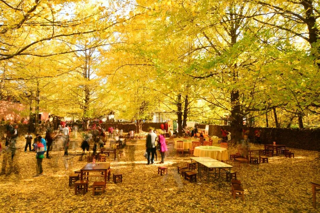 【央媒看云南】腾冲"农旅融合"探索"两山"理念实现路径